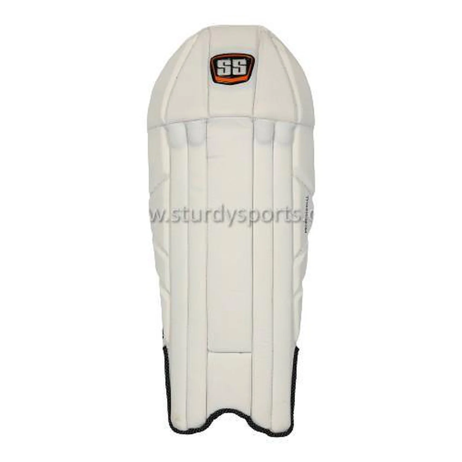 SS Professional Wicket Keeping Pad Youth